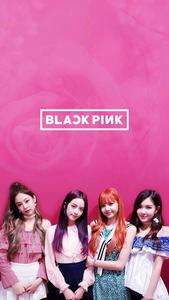 Blackpink Rose. blackpink wallpaper