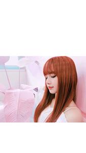 BLACKPINK stands together strong blackpink wallpaper