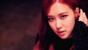 Blackpink Star Member blackpink wallpaper