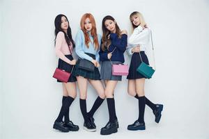 Blackpink - the K-Pop sensation empowering and inspiring female fans worldwide blackpink wallpaper
