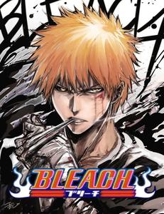 Bleach Ichigo Kurosaki Picture bleach wallpaper