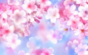 Blossom Tree for Girl Phone Display girl phone wallpaper