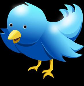 Blue Cartoon Bird Graphic Wallpaper