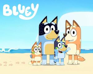 Bluey And Family At The Beach bluey wallpaper