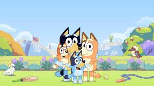Bluey Heeler Family Picture At Field bluey wallpaper