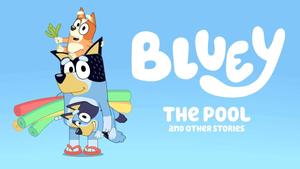 bluey the pool - october 2018 bluey wallpaper