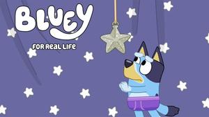 Bluey Wishing On Hanging Star bluey wallpaper