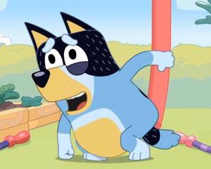 Bluey's Dad Bandit Looking Tired bluey wallpaper