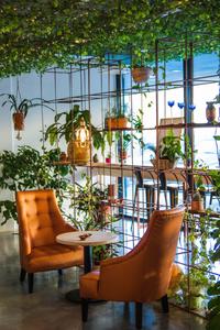 Bohemian Cafe Interior Design Wallpaper