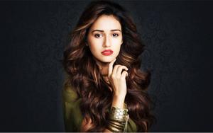 Bollywood Actress Disha Patani Portrait bollywood wallpaper