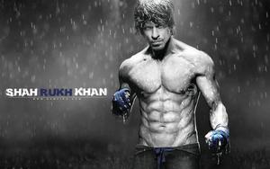 Bollywood Shah Rukh Khan Digital Cover bollywood wallpaper