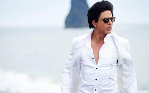 Bollywood Star Shahrukh Khan bollywood wallpaper