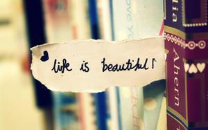 Book Shelf Motivational Aesthetic Desktop motivational aesthetic desktop wallpaper