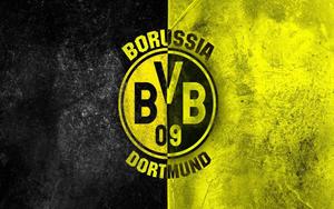 Borussia Dortmund Seal borussia dortmund wallpaper