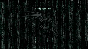 Breaking down the cyber security walls hacker wallpaper