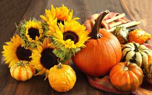Breathtaking View of a Harvest During the Fall Season fall wallpaper