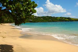 Breathtaking View of a Tropical Blue Sea beach wallpaper