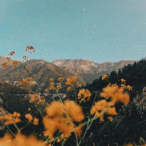 Bright and Beautiful - An Aesthetic iPad Amidst Yellow Flowers aesthetic ipad wallpaper
