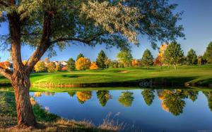 Bright Autumn Nature nature wallpaper