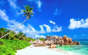 Bright Summer Beach summer wallpaper