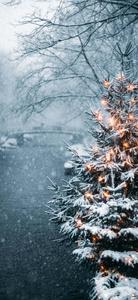 Brighten Up the Holidays with a Festive iPhone Wallpaper christmas iphone wallpaper