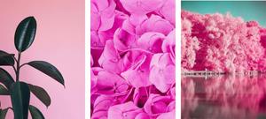 Brighten up your day with this pink cool aesthetic pink cool aesthetic wallpaper