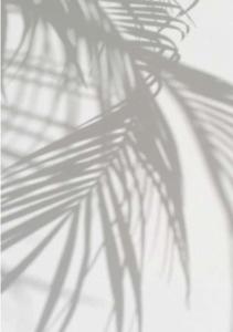 Bring peace and tranquility to your space with this stunning white aesthetic background. white aesthetic wallpaper
