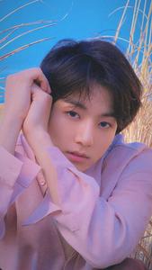BTS Jungkook In A Field jungkook wallpaper
