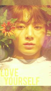 BTS Jungkook Love Yourself jungkook wallpaper