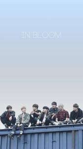 BTS Rising to New Heights  Wallpaper