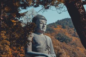 Buddha Statue Behind Trees buddha wallpaper