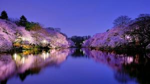 Calm Spring Evening spring wallpaper