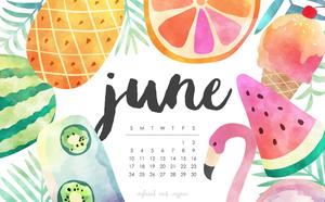 A vibrant land filled with sunflowers during June june wallpaper