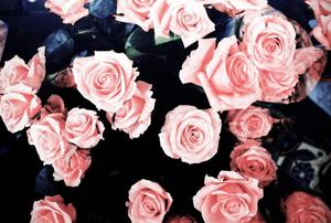 Aesthetic Pink Floral Theme for Girl's Phone girl phone wallpaper