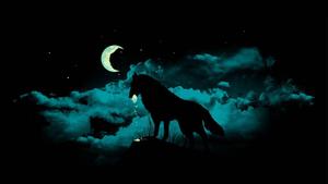 Dark Laptop with Enthralling Wolf Wallpaper at Night dark laptop wallpaper