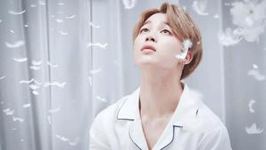Captivating Charm: BTS Jimin in a Mesmerizing Pose jimin wallpaper