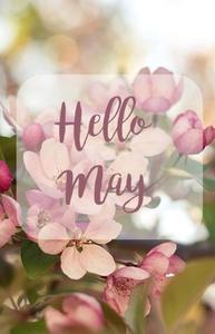 Captivating Colorful Blooms of May