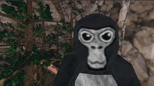 Captivating Gorilla Tag Wallpaper