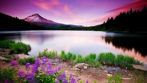 Captivating Landscape of Vibrant Sunset over Mountains landscape wallpaper