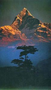 Captivating Nature Home Screen Wallpaper home screen wallpaper