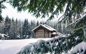 Captivating Winter Wonderland iPhone Background winter iphone wallpaper