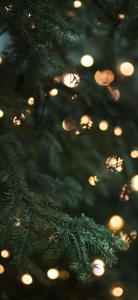 Capture the festive spirit with this beautiful Christmas iPhone wallpaper. christmas iphone wallpaper