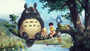 Carrying Out Our Dreams Together totoro wallpaper
