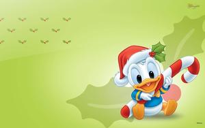 Cartoon Baby Donald Duck cartoon wallpaper
