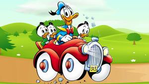 Cartoon Donald Duck And Nephews cartoon wallpaper