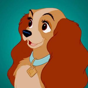 Cartoon Lady And The Tramp Picture cartoon wallpaper