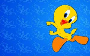 Cartoons Tweety Bird  Wallpaper