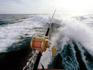Casting Gone Deep fishing wallpaper