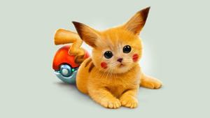 Cat Dressed As Pikachu pikachu wallpaper