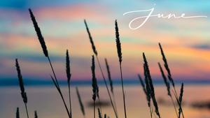 Celebrate June in Style june wallpaper